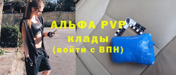 спиды Козловка