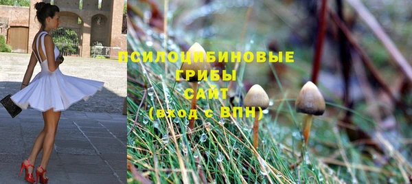 спиды Козловка