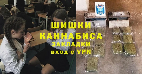 мдпв Козельск