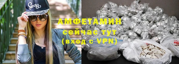 мдпв Козельск