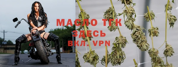 мдпв Козельск