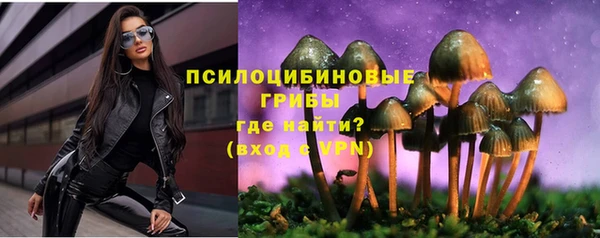 мдпв Козельск