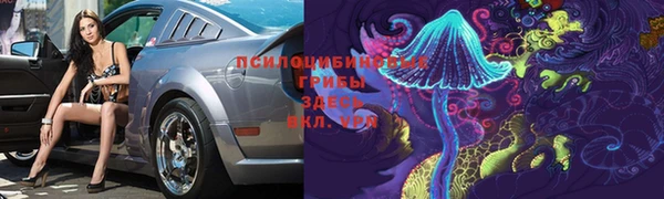мдпв Козельск