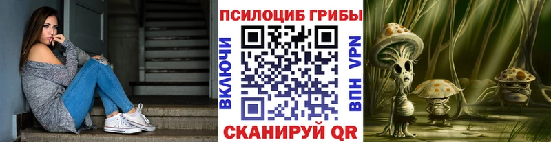 Псилоцибиновые грибы прущие грибы  наркошоп  Невинномысск 